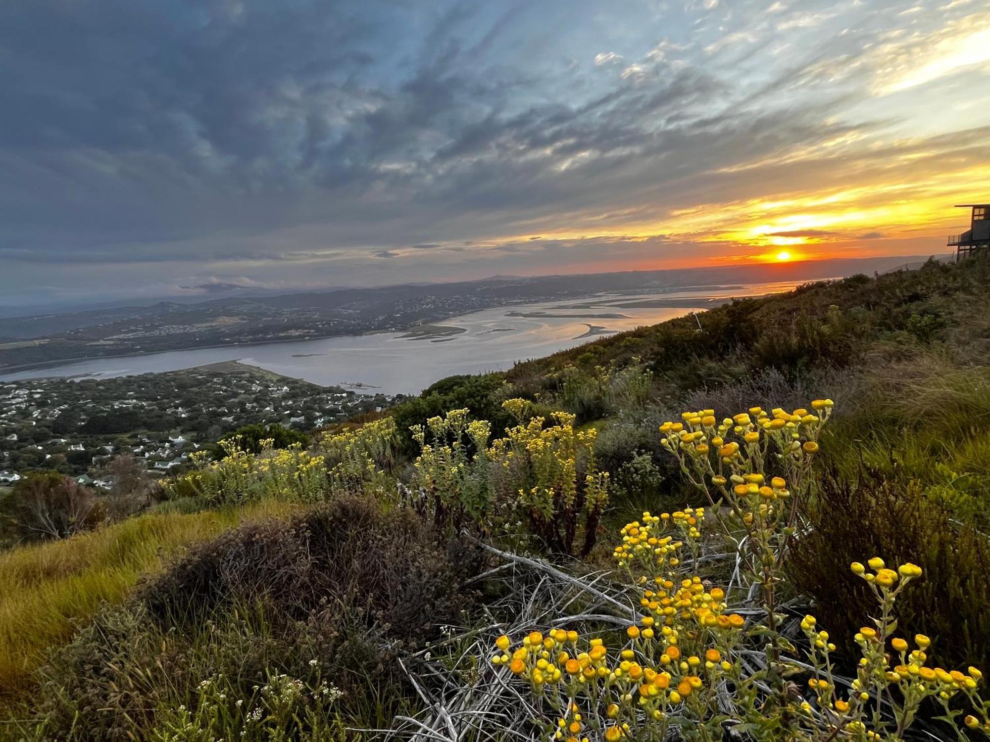 Die Uitzicht Guesthouse - Knysna Esterno foto